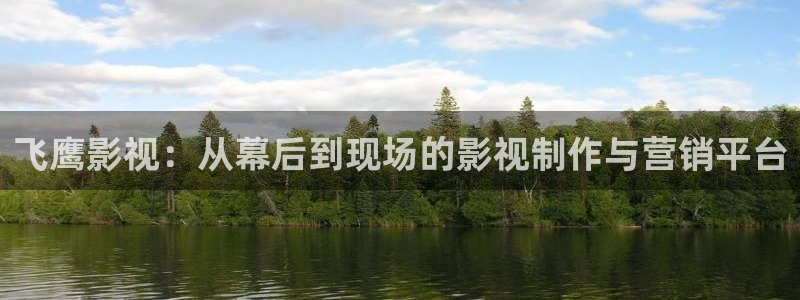 汇中广场保利影城：飞鹰影视：从幕后到现场的影视制作与营销平台