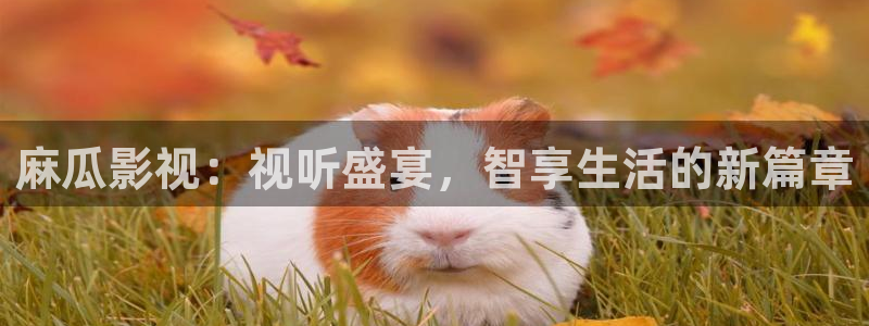 龙旗广场保利影院今日影讯：麻瓜影视：视听盛宴，智享生活的新篇章