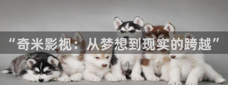 保利国际电影院今日电影：“奇米影视：从梦想到现实的跨越”