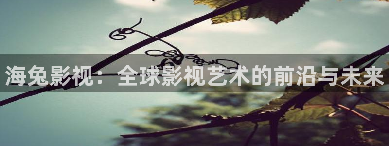 保利影业有限公司：海兔影视：全球影视艺术的前沿与未来
